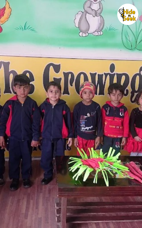 The Growing Tree Play School, Rewari