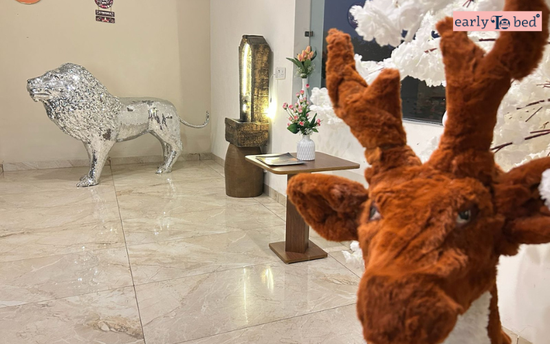 Foreste Resort, Nainital