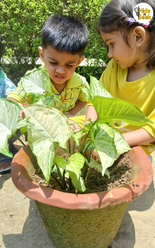 DPS Play School, Sambhal