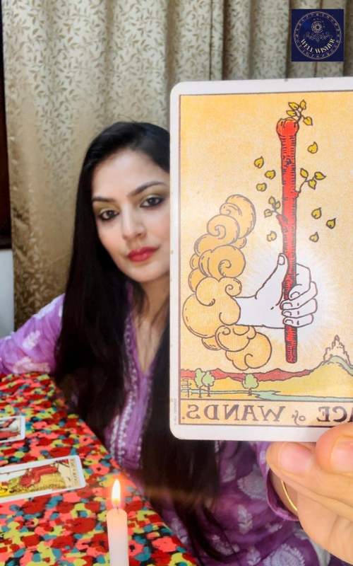 Solace by Chandrika, Ambala-Cantt