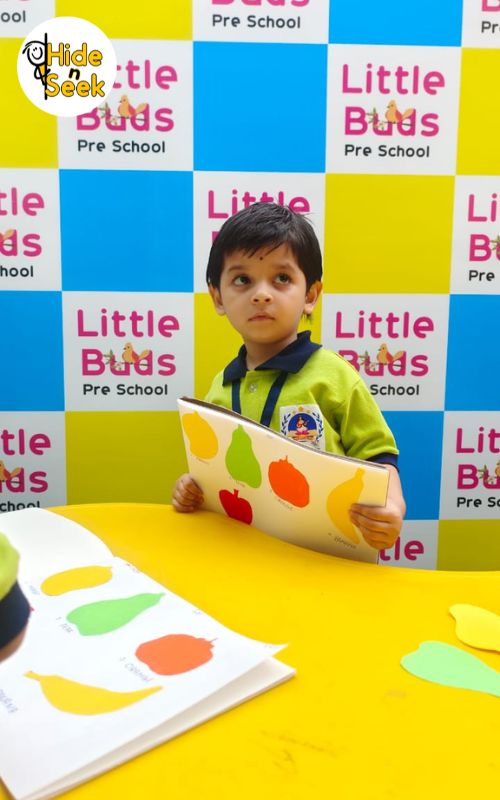Little buds pre school, Bhopal