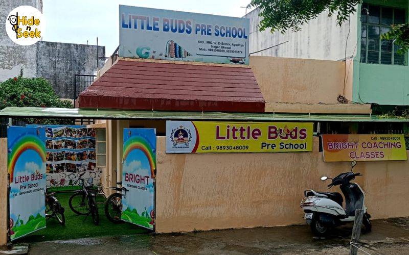 Little buds pre school, Bhopal