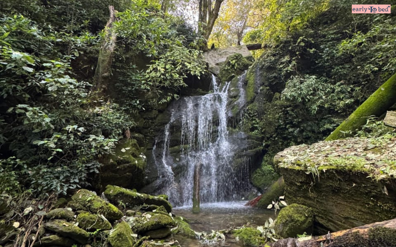 The Himalayan Heaven, Binsar